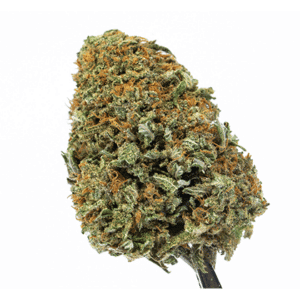Big Bud